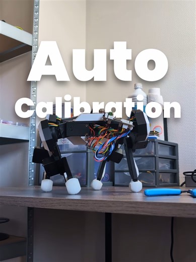 Automatic Joint Calibration for Precise Movements