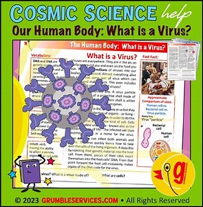 Our Human Body: Viruses & Vaccines • What is a Virus, Viruses vs. Bacteria