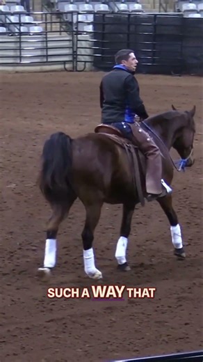 Seat Guides Forward Energy