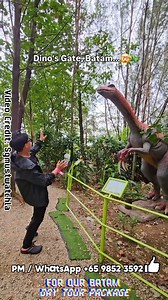 🌟 1-Day Batam City Tour Dino Gate & 3D Illusion Seafood Lunch, and more from just $99/pax! 🦖🍴✨ . Chat with us for more details 🥰 ☎️WhatsApp: 65 9852 3592 http://wa.me/6598523592 | Weekend Go Where Singapore