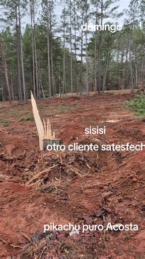 Jaime AcostaqmMM (@jaimeacostaqmmm)’s videos with sonido original