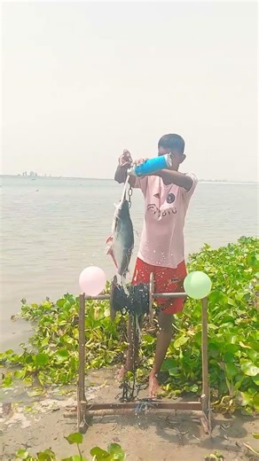 Shark fishing techniques with pangas fish in the river #shorts #fishingvideo #viral