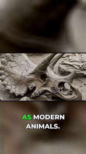 Triceratops Secrets Scientists Just Found!