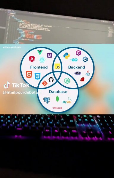 Frontend | Backend | Database | HTML Pour Debutant