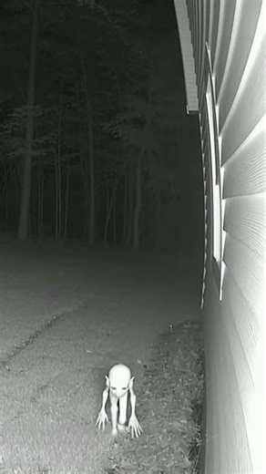 👀🟢 Night Vision SHOCK: Night Vision Camera Spots STRANGE Humanoid Creature Near Our House!