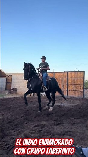 The Indian in Love, Laberinto Group