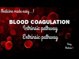 Blood coagulation | intrinsic and extrinsic pathway | physiology