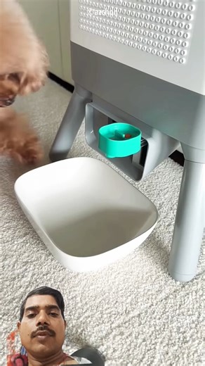 smart 🐶 dog #petcare