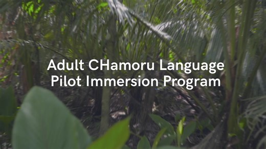 2.6K views · 39 reactions | Since 2022, the Guam Museum and Chief...