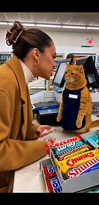 Shocking Moment Angry Cat Cashier Tries to Slap Customer | Real USA Supermarket Footage #AngryCat #CatCashier #SupermarketFight #CaughtOnCamera #ViralUSA #RealFootage | Kitty Cuddle Club