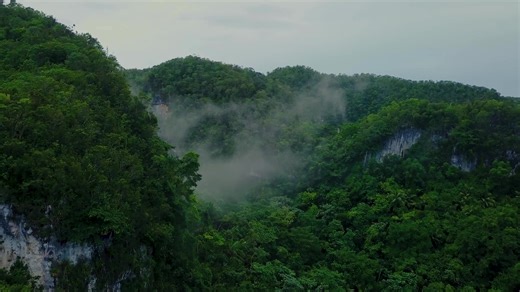Planning your Dominican Republic bucket list? From hiking trails to undiscovered beaches and cultural activities, there is so much more to Dominican Republic than meets the eye. What part of Dominican Republic are you excited to travel to? ✈️🇩🇴 #GoDomRep #MyDR #DominicanRepublic | GoDominicanRepublic