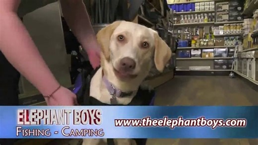 Elephant Boys TV Spot, 'Best Memories'