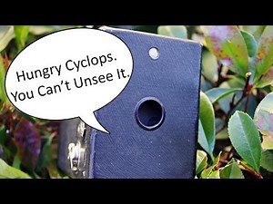 Kodak Brownie #2 Hawkeye 120 Model C Video Manual