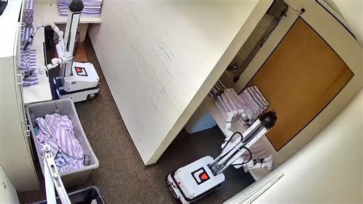 Watney Robotics：自动化的未来就在眼前！