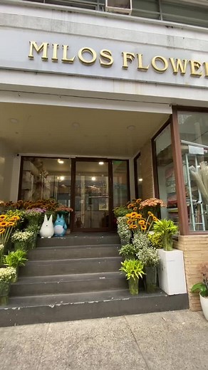 Milos Flower Shop on TikTok