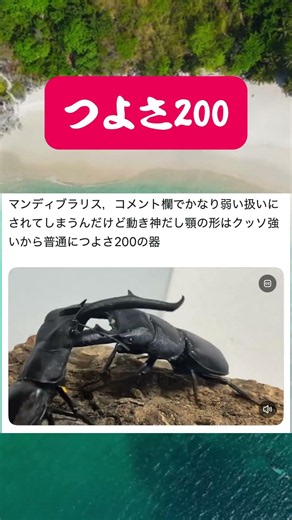 リアルでも強いムシキングのつよさ200ムシ マンディブラリスフタマタvsスマトラオオヒラタクワガタ #shortvideo #クワガタ #ムシキング