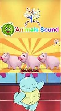The Animal Sounds Song CYM2 | Can You Make the Sound of These Animals? | Edufam Nursery Rhymes