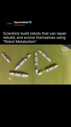 BalliBot Mogis Smart Robot Trends: Tech Magic & AI Trend