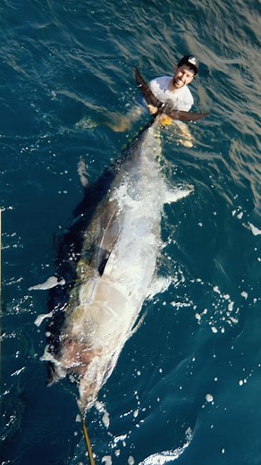 11K views · 317 reactions | This is the biggest tuna I've ever caught! #fishing #bluefintuna #tuna #tunafishing #topwaterfishing #sports #fishinglife #fishingislife #angler #giant #ocean | Angler Mancing | Facebook