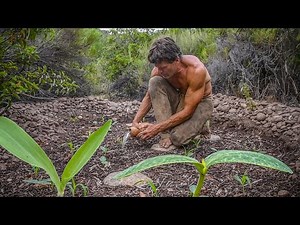 I Started a Primitive Garden (Watch This)