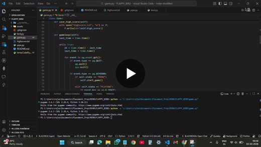 Python Pygame Flappy Bird Clone | Raj Sarkar posted on the topic | LinkedIn