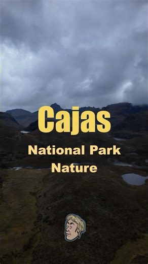 🦅 Cajas National Park – Birds & Wildlife in the Andes (Short2)