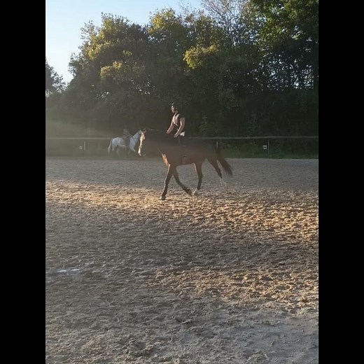 Présentation ❤️‍🩹 ( dsl pour la voix off c'est la première fois que j'en fais une 😞