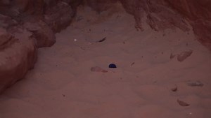 337K views · 1.2K reactions | Ventis, nesaņēmis vēlamo atbildi uz izteikto bildinājumu, Magonei nesaudzīgi velta ne vienu vien skarbu vārdu virknējumu... Skaties #SlavenībasBezFiltra kanālā #STV pirmdien-ceturtdien plkst.19.20 un visu diennakti #1188Play #1188lv | STV | Facebook