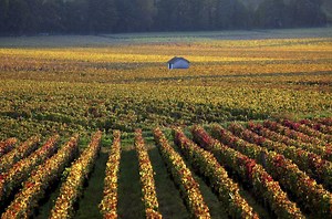 Burgundy Travel Guide - Expert Picks for your Vacation