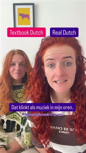 Text book Dutch VS Real Dutch