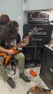 Dimebag's Tone Starts Here – This Is The Raw Sound Of The Randall RG100ES #Dime