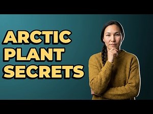 Why Are Mosses And Lichens Common In The Arctic?