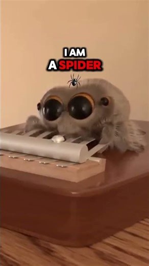Musical Spider #shorts #funny #viral #memes