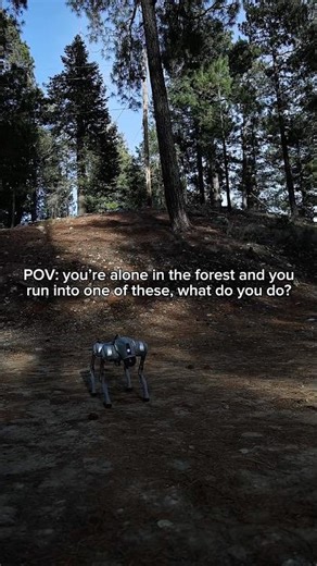 New world update just dropped#robotflip #go2pro #futureisnow #robopromorentals #unitreerobot