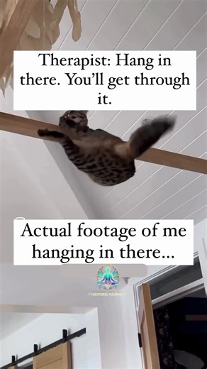 Therapist: ‘Hang in there, you’ll get through it.’ Me: *Actual footage of me hanging in there* 😅🙃🐾 (Cue the cat barely holding on!) Life may be messy, but we’re still hanging on! 🐱💪 #HangingInThere #RelatableMoments #LifeIsMessy #WeGotThis #OneDayAtATime #JustKeepGoing #StayStrong #CatMeme #MoodOfTheDay #TherapyHumor