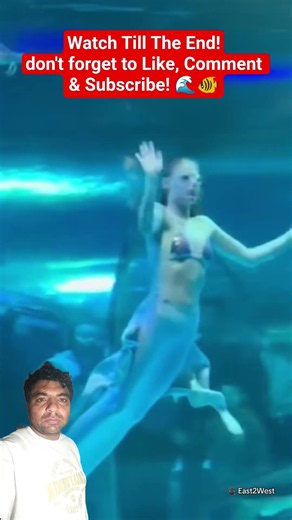 Did a Giant Fish Really Attack a Mermaid Performer? 🧜‍♀️😱 Watch Till The End!#shorts