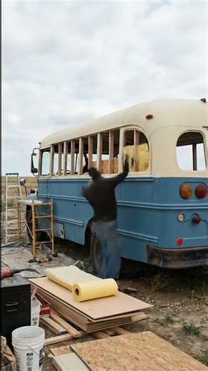 Turning an Abandoned Bus Into a Luxury Living Space | Full Transformation #BusTransformation