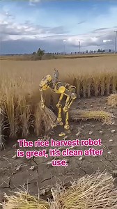 #AI #robot #harvest #rice #fbreels2025ツ | Allan Plaza
