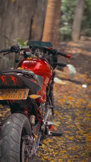 🫶 mage #pulsar220 #discovery100 #jessybike_new_owner #lastkid #jessy @NETHU.J @𝑱𝒆𝒔𝒔𝒚🕊️💐 @𝐱 𝐉𝐚𝐧𝐢𝐢 🧸⚡