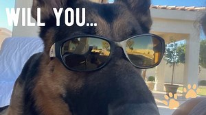 63 reactions · 20 shares | Don't hesitate on this boy as we know that...