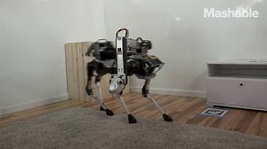 670K views · 436 reactions | Meet ‘SpotMini’, the robot dog that will help you do your chores. | FutureShift by Mashable | Facebook