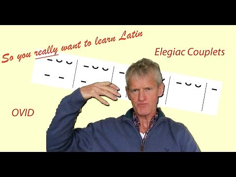 Latin 3 Lesson 46: Scanning Elegiac Couplets | So You Really Want to Learn Latin