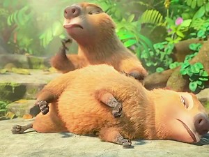Rio Movie Clip Animations