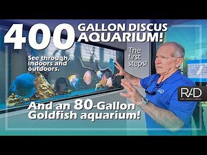 Matching 400G Discus & 90G Goldfish Tanks to Home Interior Design: Tile Background Integration