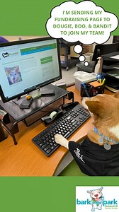 17 reactions | JOIN TUULA! Sign up for Bark in the Park for free,...