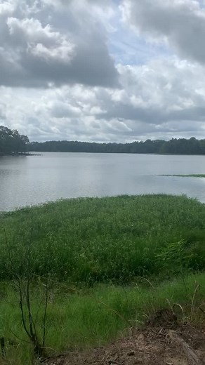 lakepoint state park eufaula, al 🦋 #asmr #alabama #fyp #camping #rv #nature