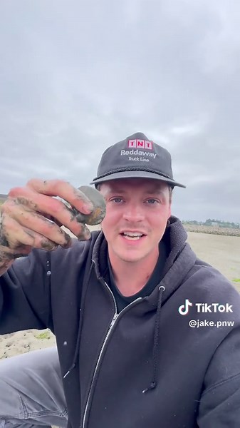 These Are Under Your Feet at the Beach! 😱 #animals #nature | Nature