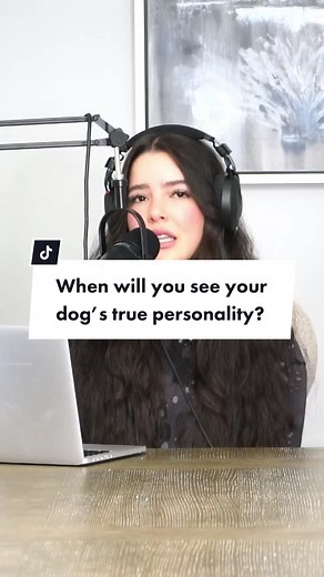 Understanding Your Dog's True Personality: Insights from Think Like a Dog Podcast