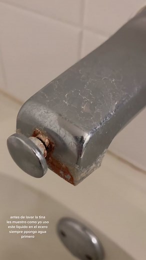 Effective Bathroom Cleaning Tips with ZEP Ring Master