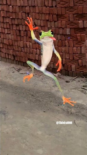 frog dance # funny 😂 video # trinding 🤣 shorts 🙏 #trinding